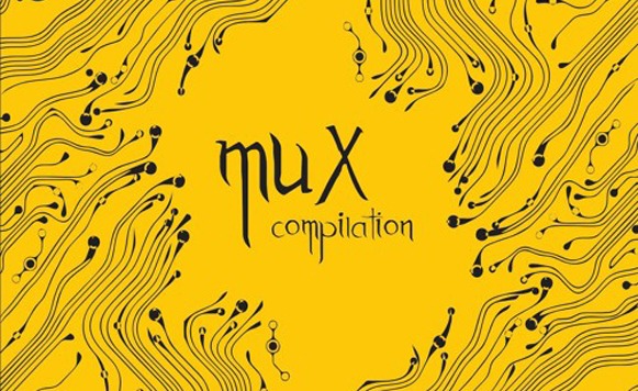 Va-MUX compilation
