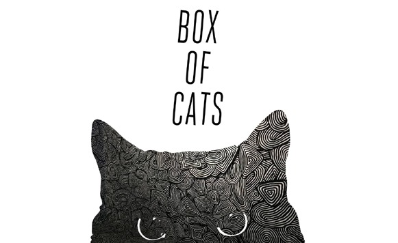 Box of Cats