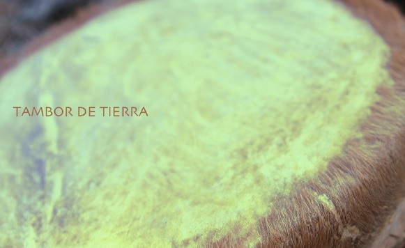 Alkaline Georgi-Tambor de tierra (Single) (por Andrés Oddone – Exclusivos Cassette)
