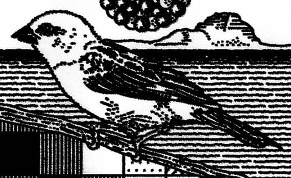 Mauricio Island-Vol 2 (por Andrés Oddone – Guerrilla Tunes – track free dl Exclusivo Cassette)